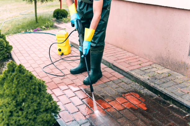 Best Driveway Cleaning and Restoration in Cibolo, TX